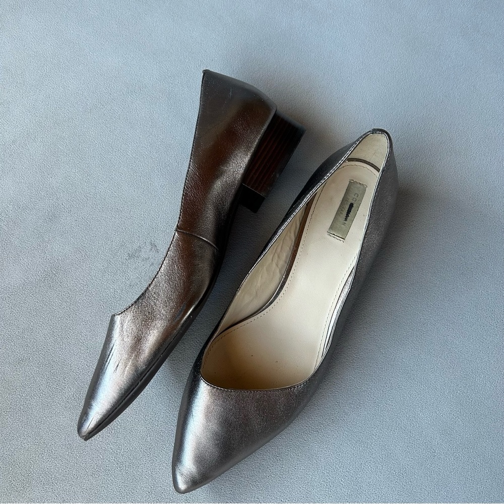 Cole Haan ~ Metallic Pointed Toe Flats ~ Women’s Size 9